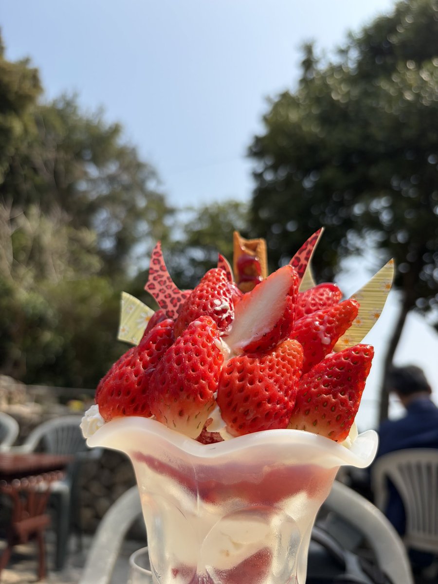 エメさぶ tweet media