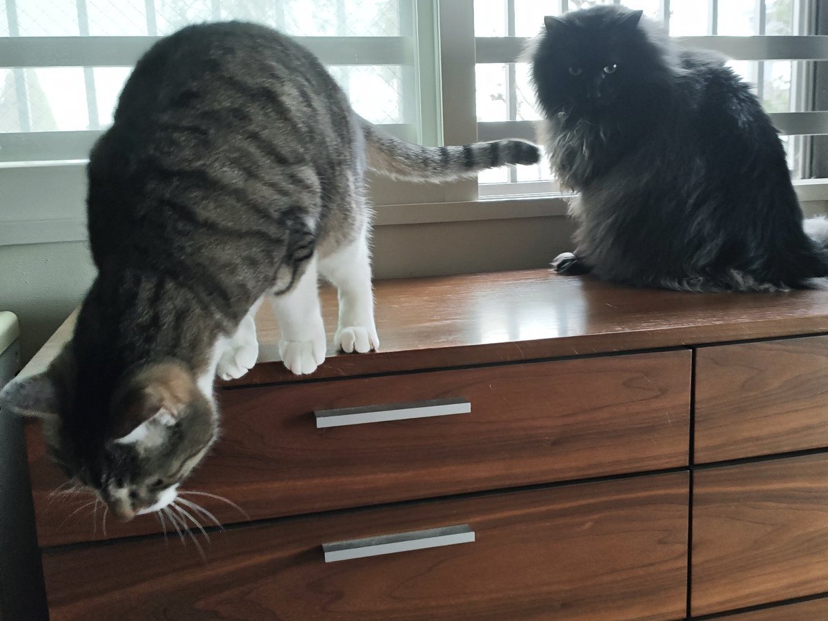 ne−yon tweet media