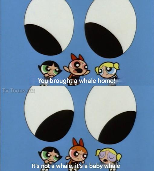 TRAFON(s Backup Account) tweet media