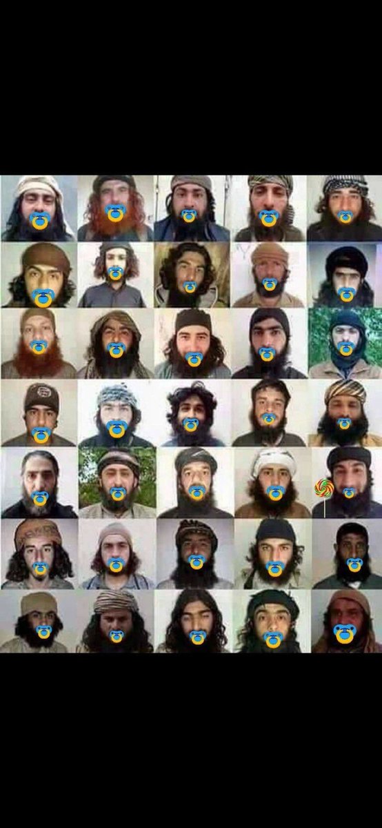 رقية التميمي🇮🇶 tweet media