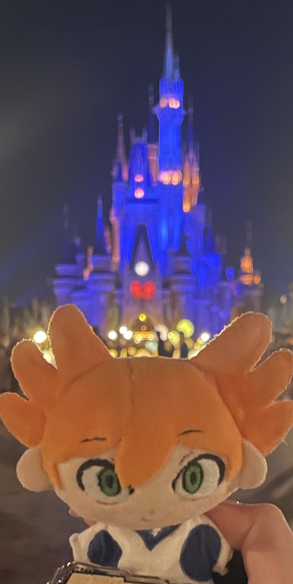 🫍しゃち🫍 tweet media