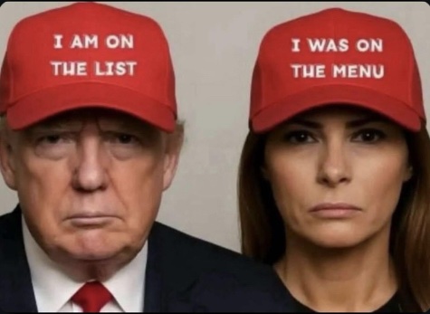 Victimhood Scale Index(VSI)Rater tweet media