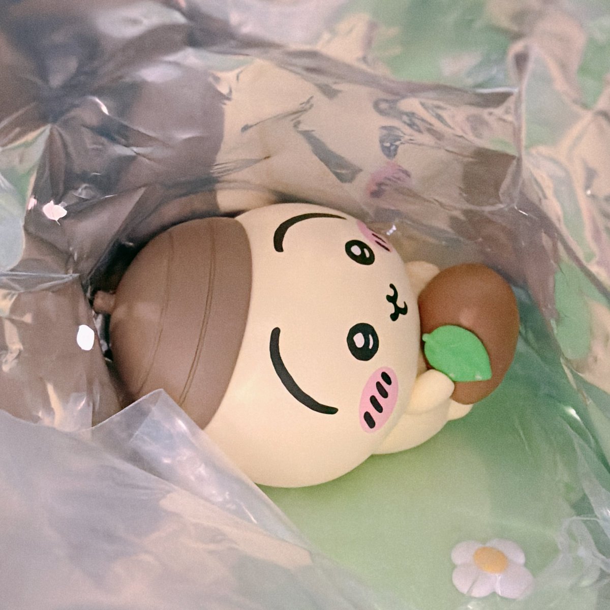 m. "えむどっと"❣️ tweet media