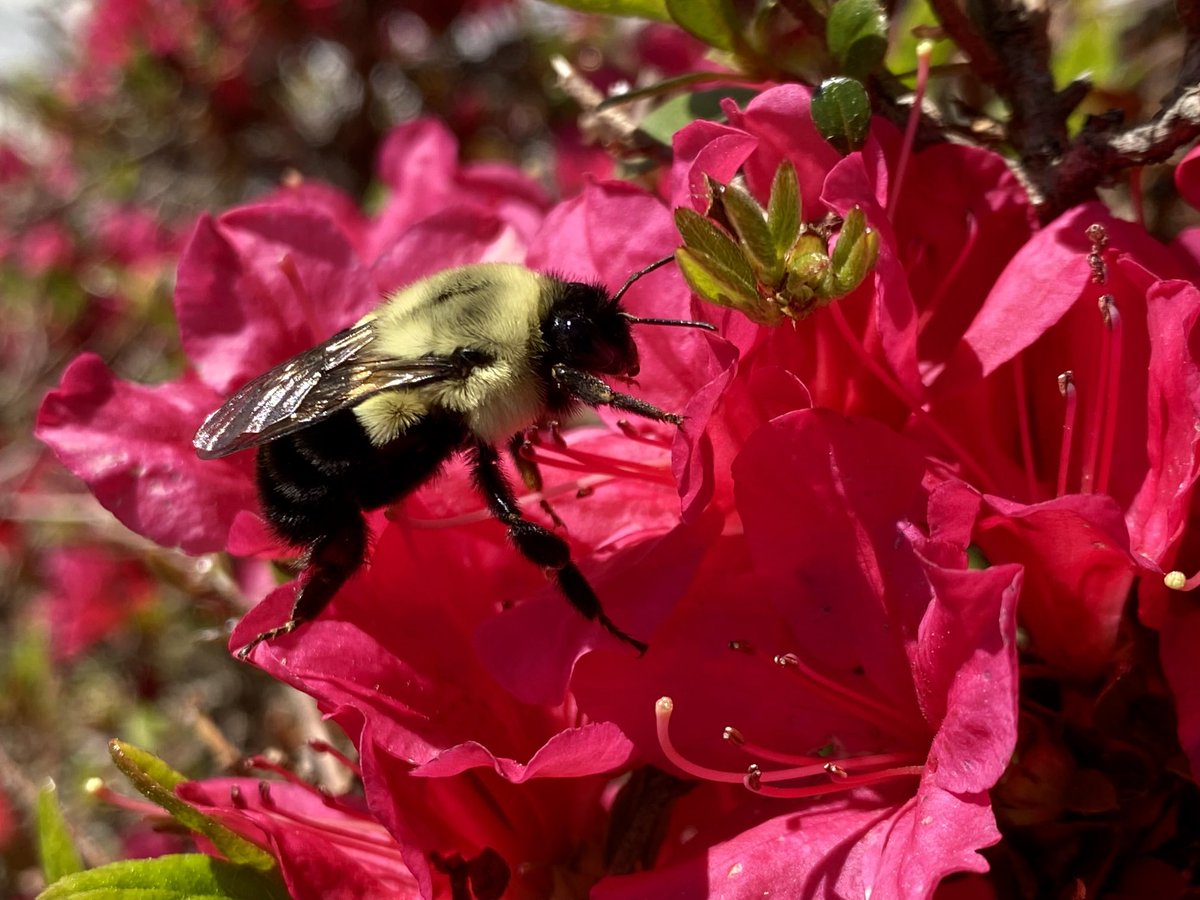 Suzy Starnes tweet media