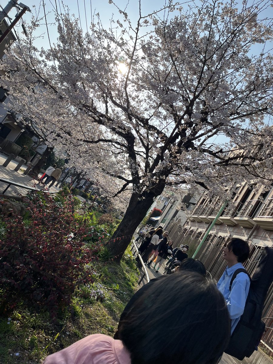 なべけい tweet media