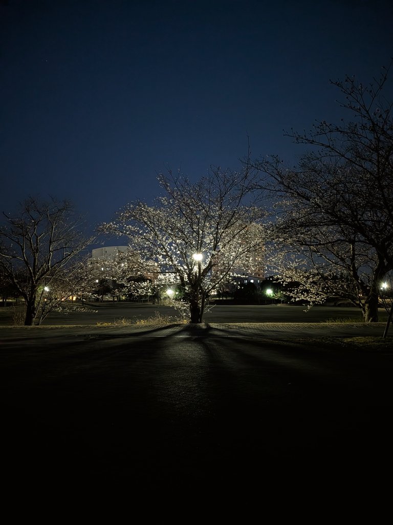 Anthony Lowe | アンソニー・ロー tweet media