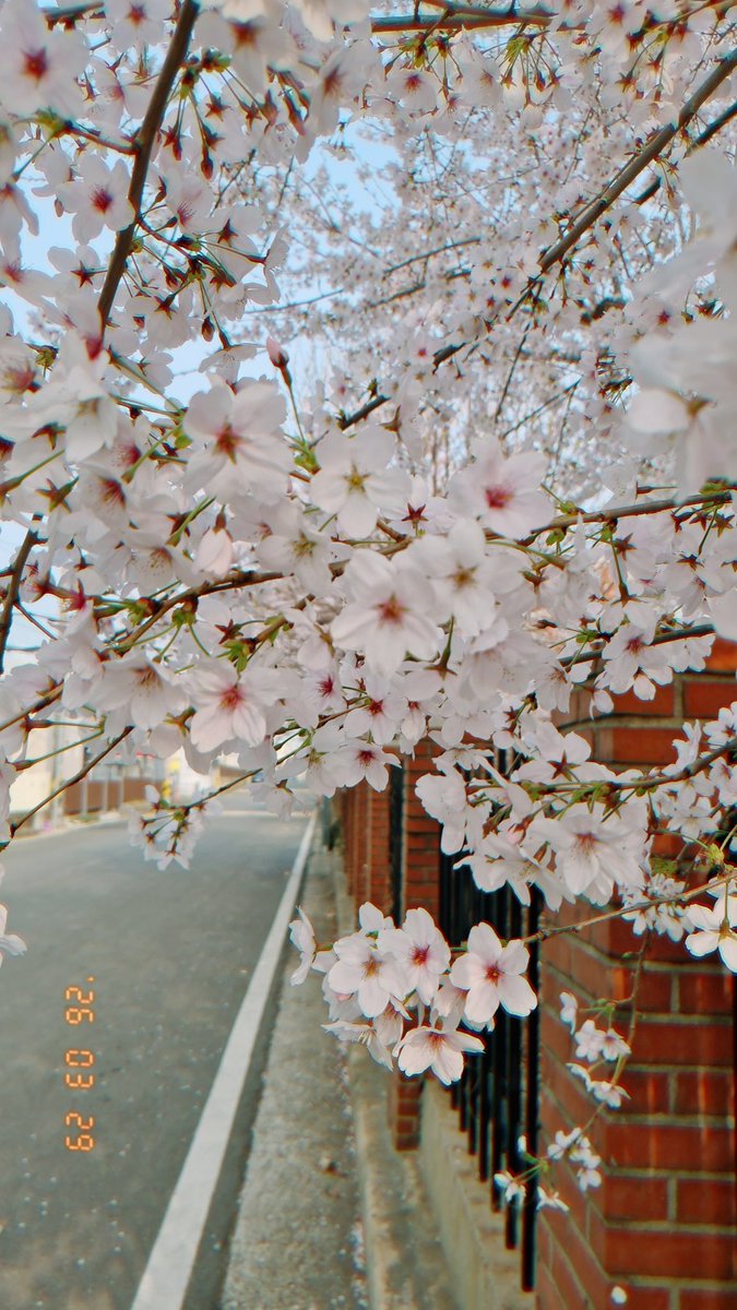 🔴연지곤지🔴 tweet media