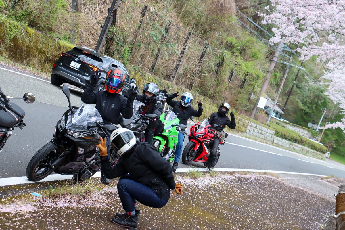 みっちゃん🦑 tweet media