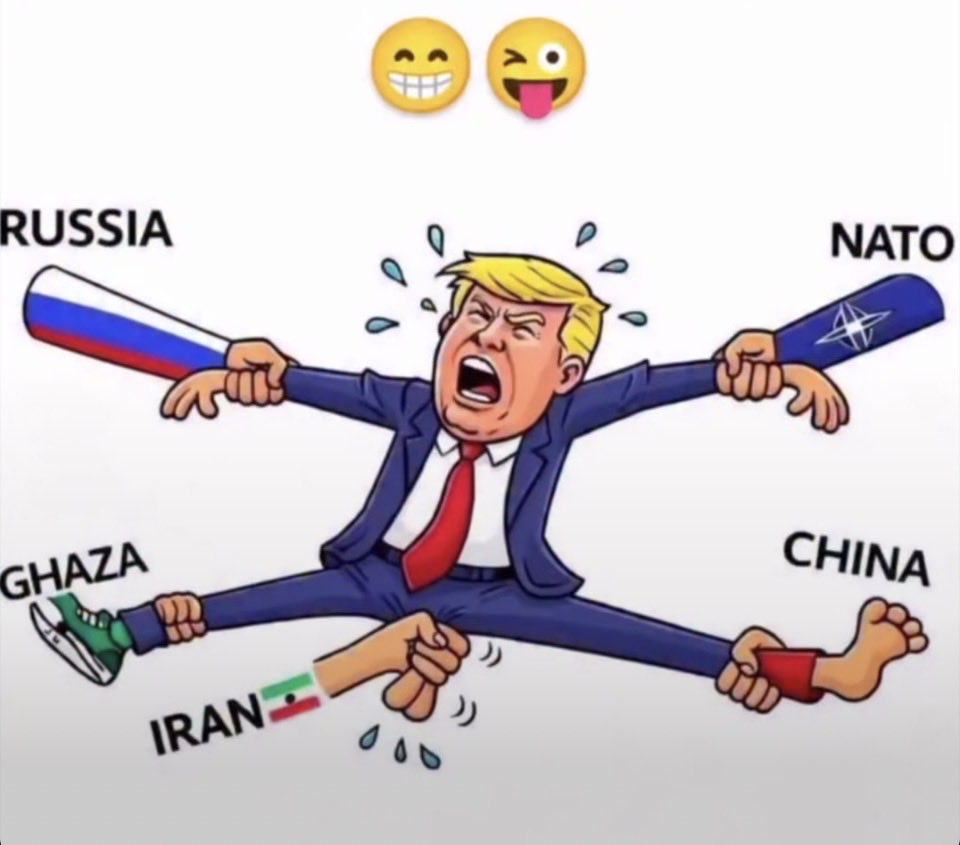 Roberto “El azote” tweet media