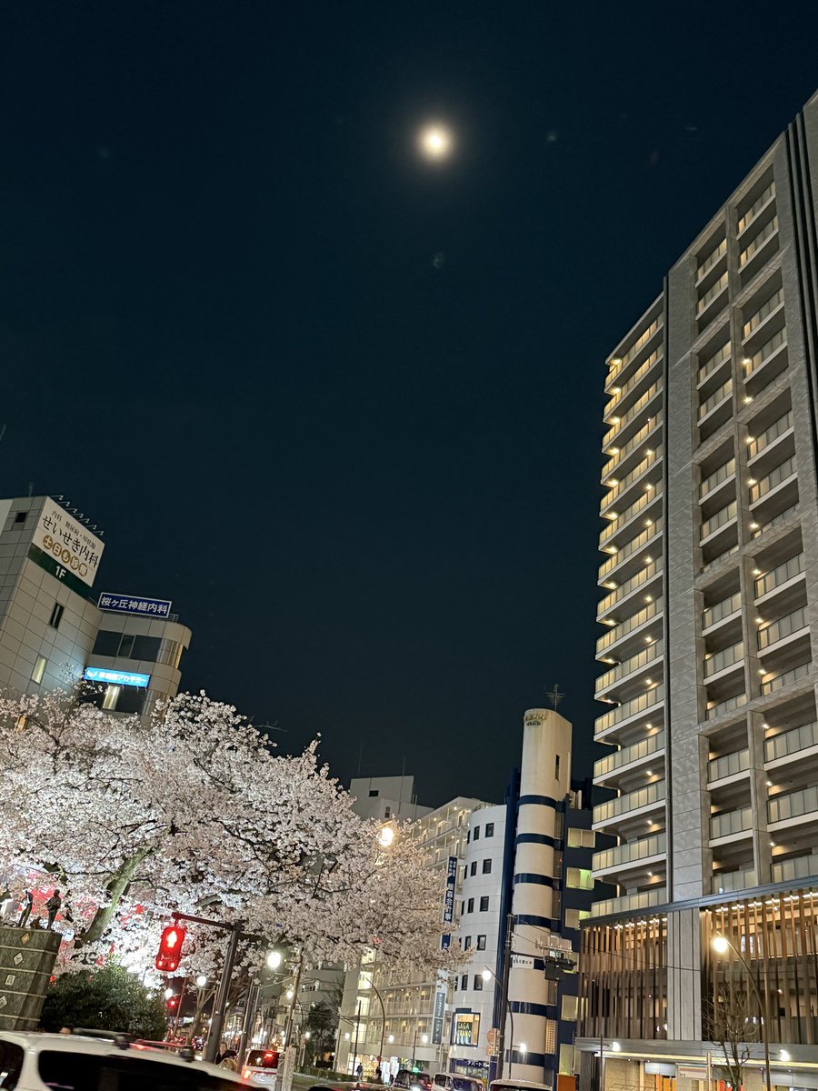 桜と月とプラウド