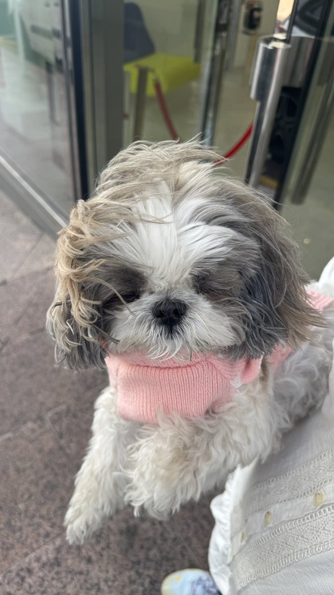 NeuronBizdev tweet media