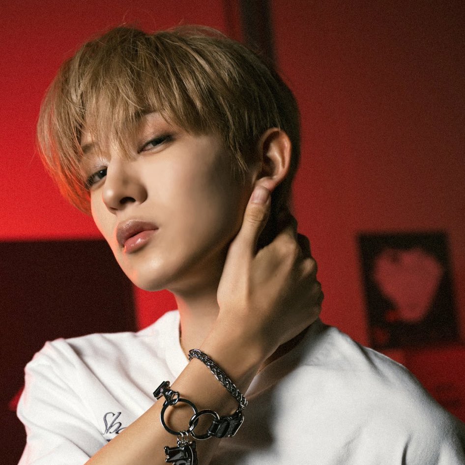 ⟡.·*. tweet media