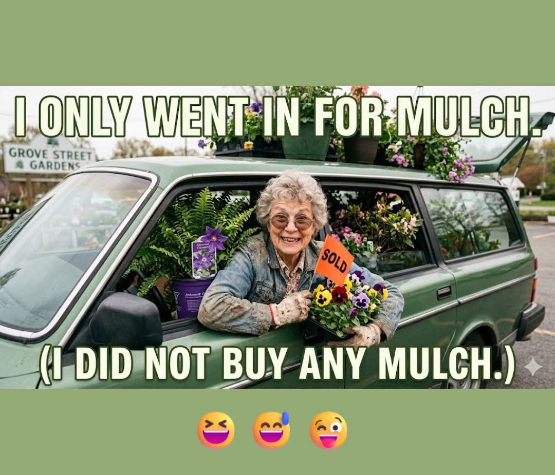 the garden gnome tweet media