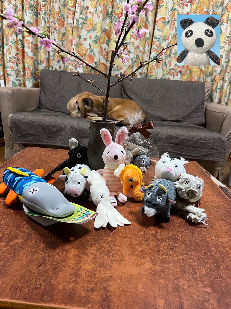 キューブの成長日記 tweet media