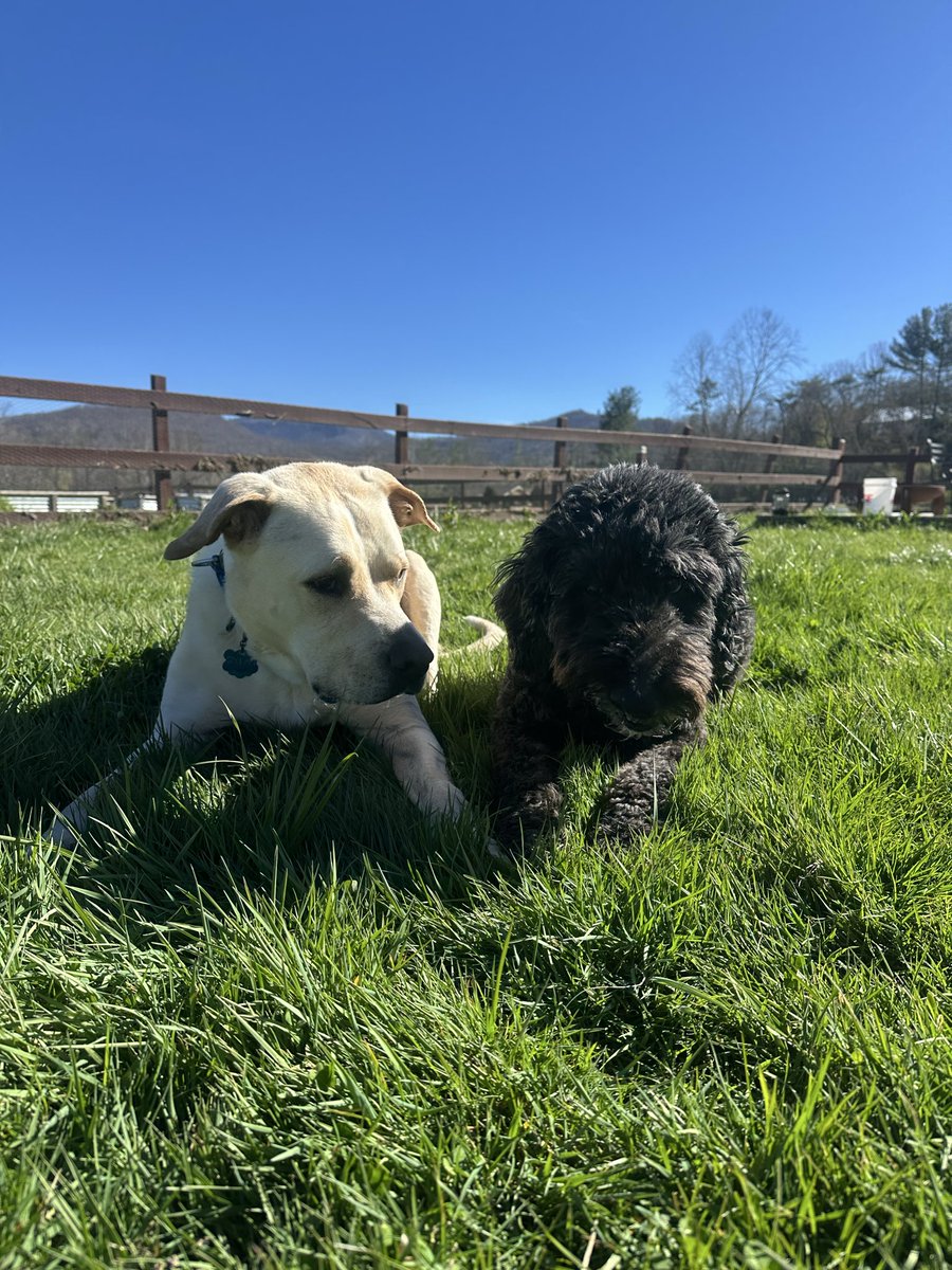 Wolfman John tweet media