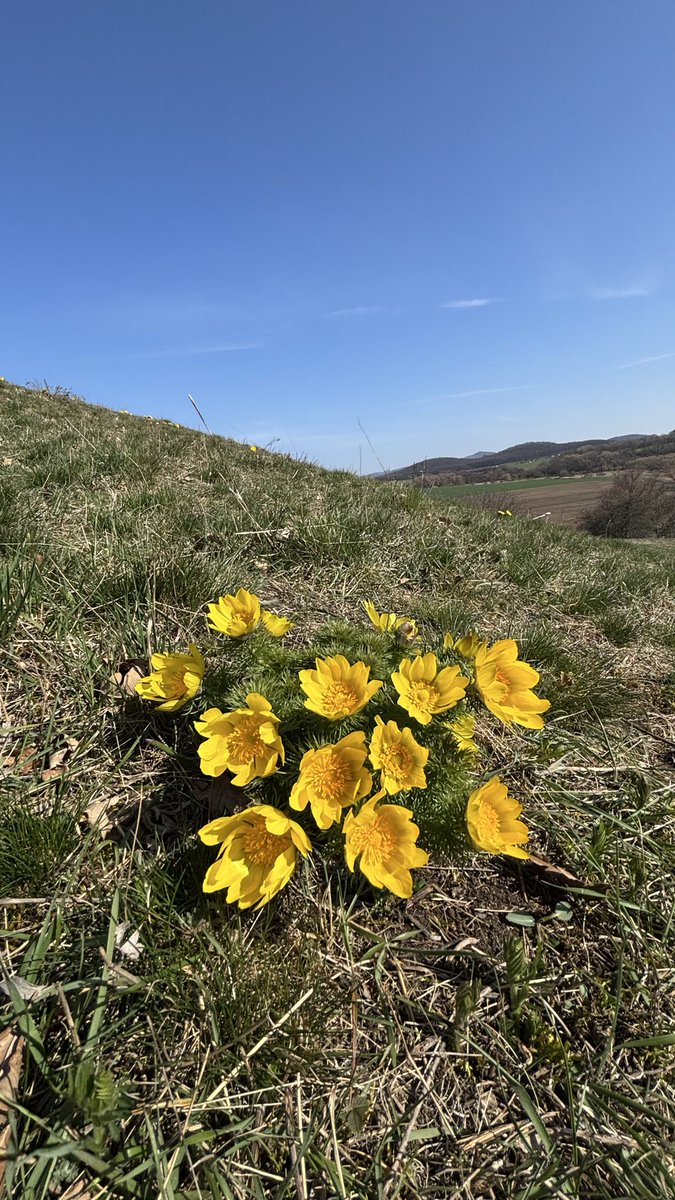 Filip Harzer tweet media