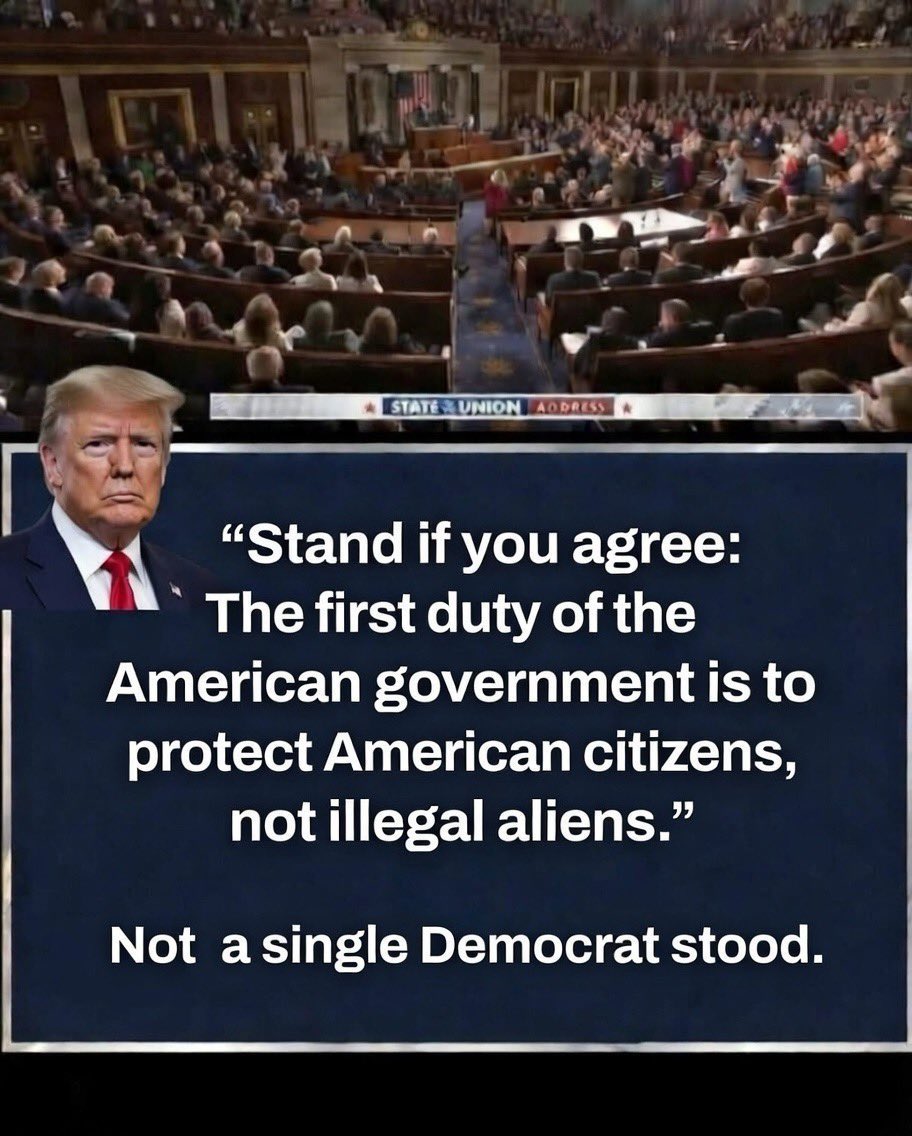 Swedish Canary 🇺🇸🇸🇪 tweet media