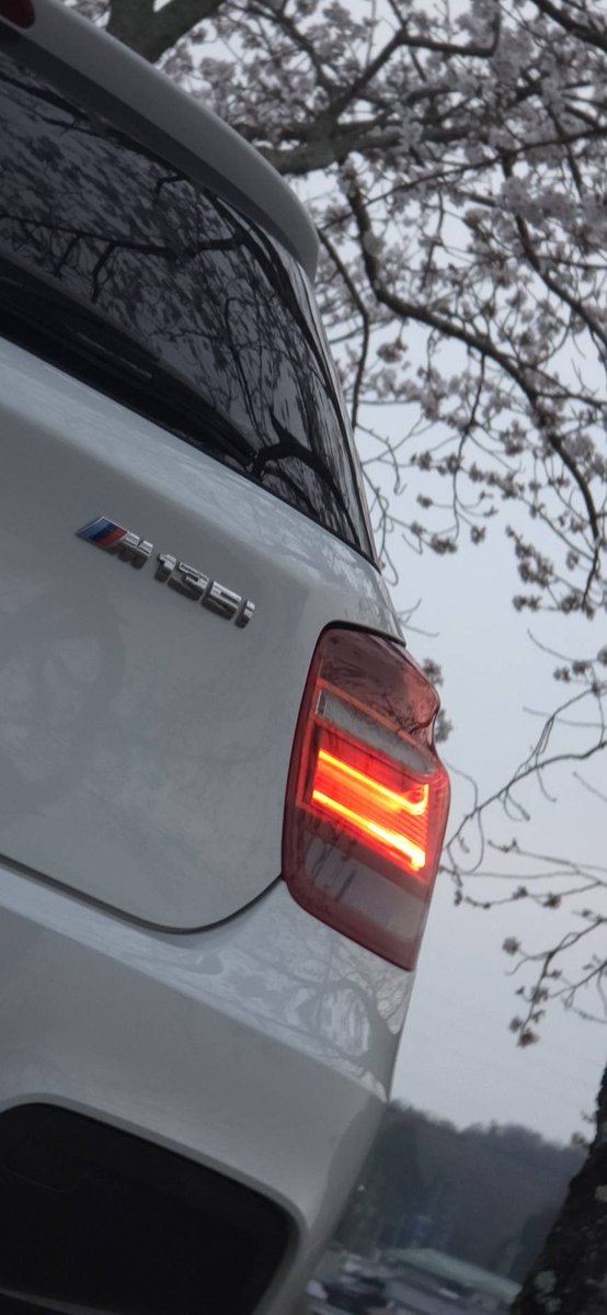 茜⚓🎀🐾 tweet media