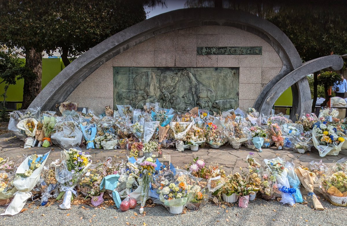 ばら*みるく* tweet media