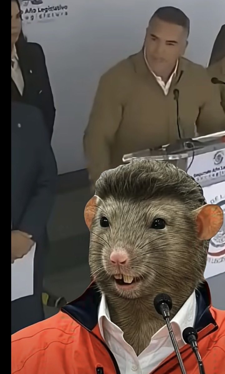 Rodrigo Sanchez tweet media