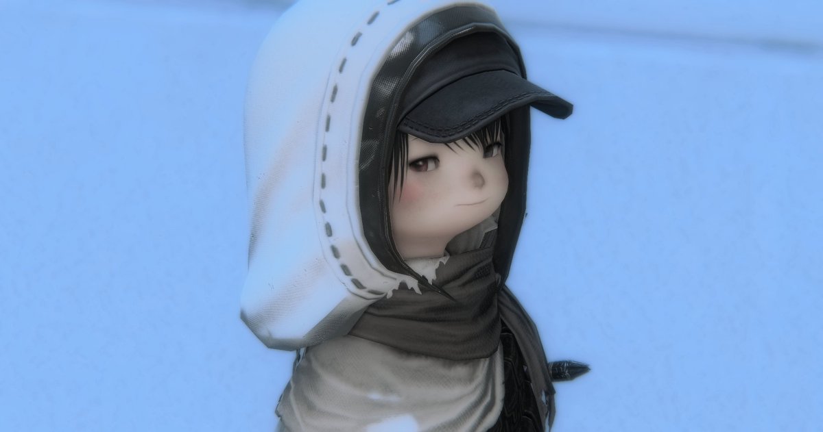 ₌᳐･֊･₌᳐ ੭ tweet media