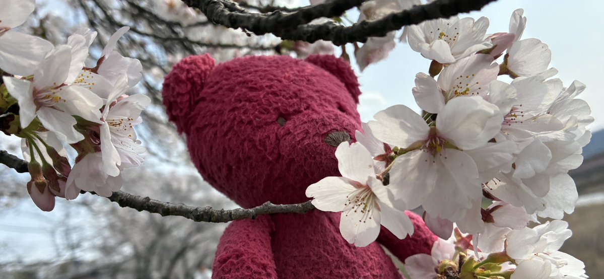 雪駄｛筆字　絵描き tweet media