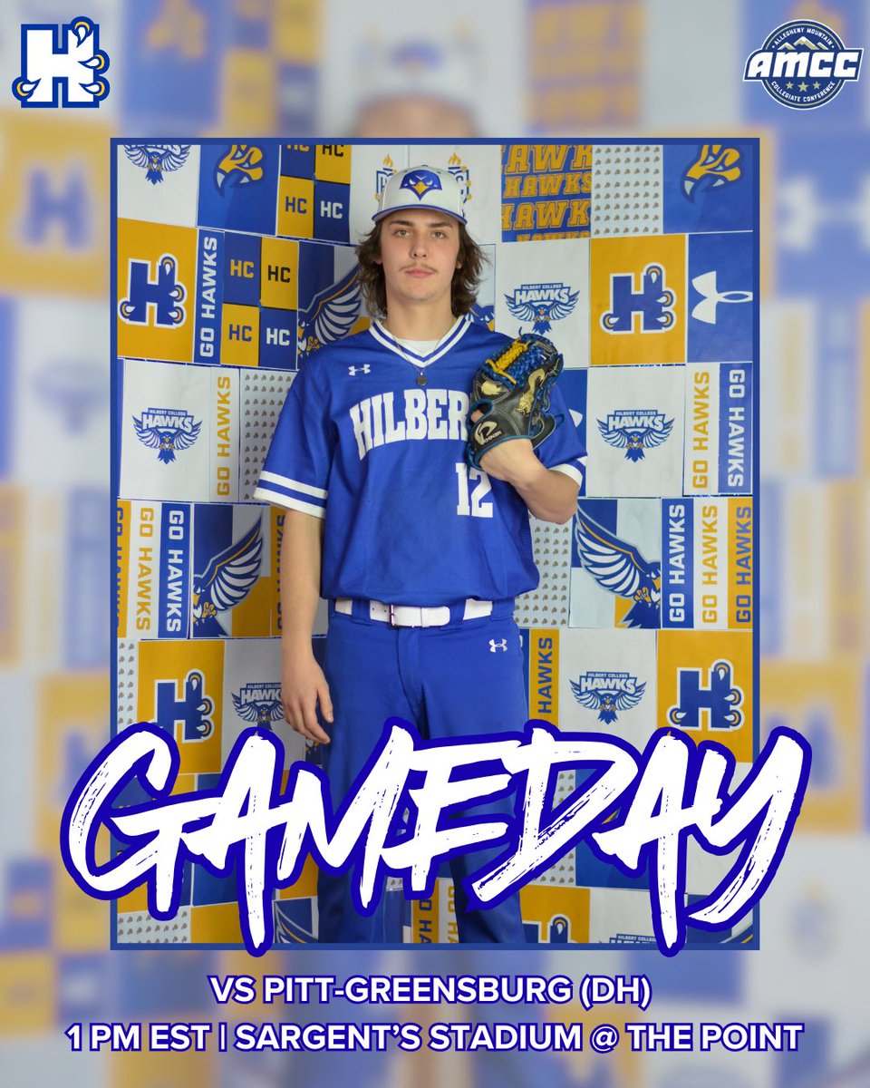 Hilbert College Baseball tweet media