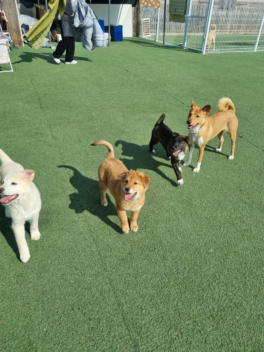 눈누난나❤(사)엔젤프로젝트 tweet media