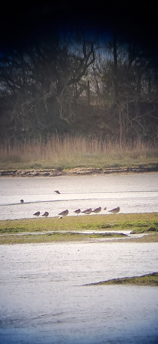 Bird and Recreation Initiative tweet media