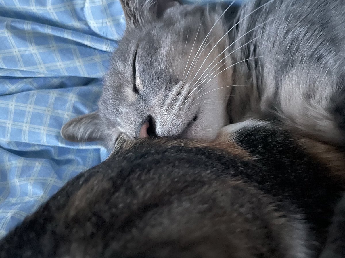 얼짱겅듀 먹짱우주 tweet media