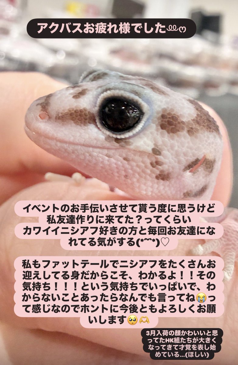 のの💌 tweet media