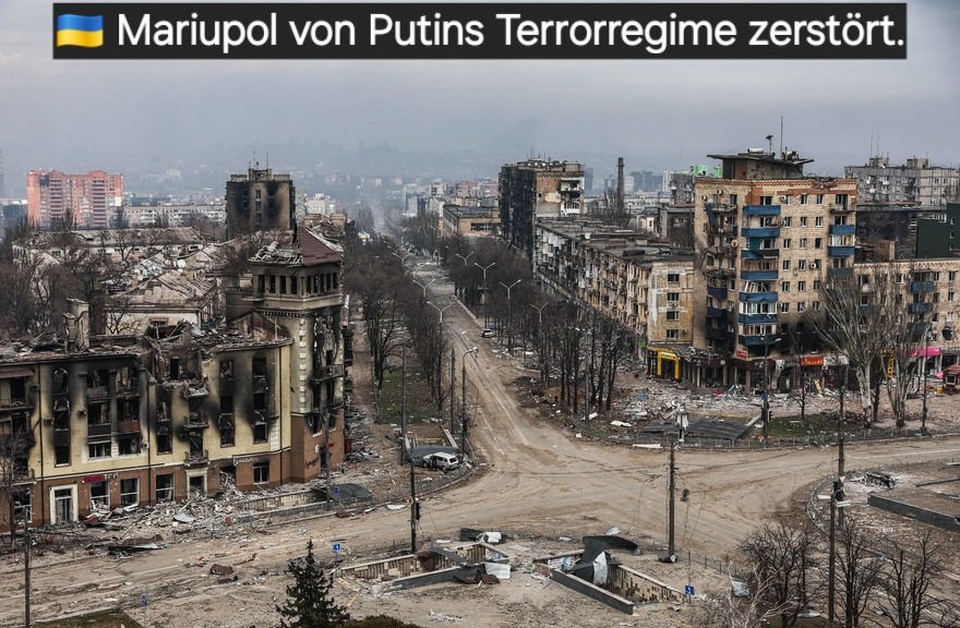 D a r a Pelz I 🇨🇭 🇪🇺 🇺🇦 ✡️ tweet media