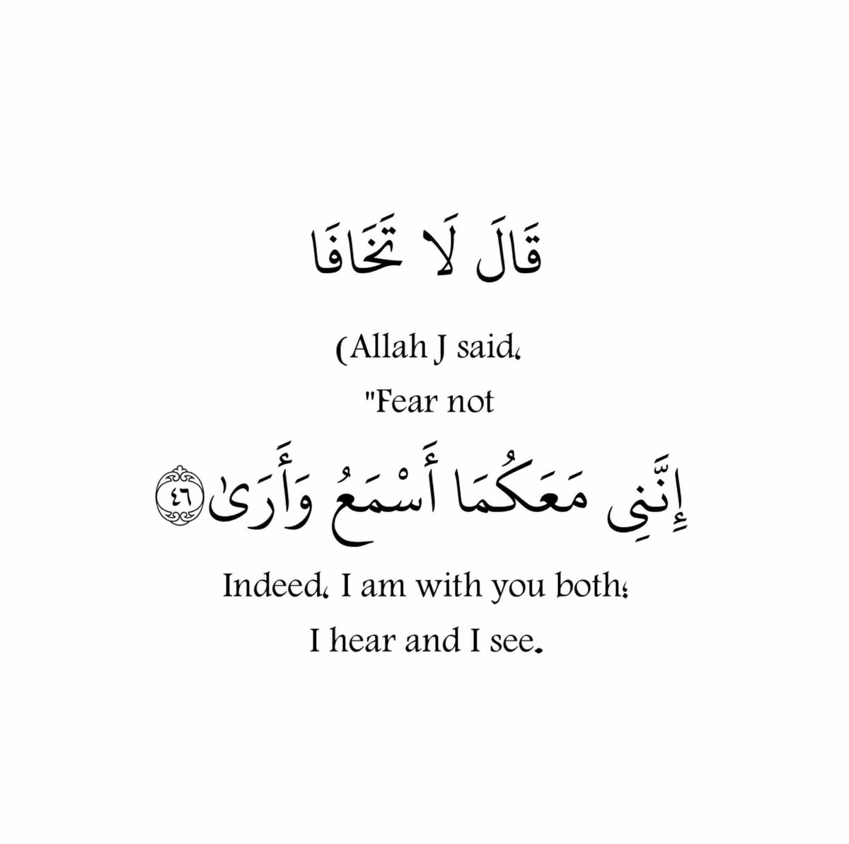 سعيد ♉️ tweet media