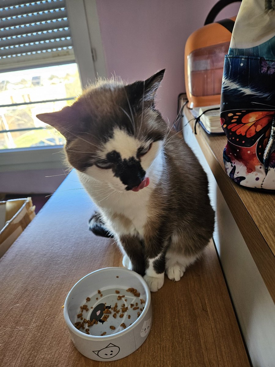 constance Moon tweet media