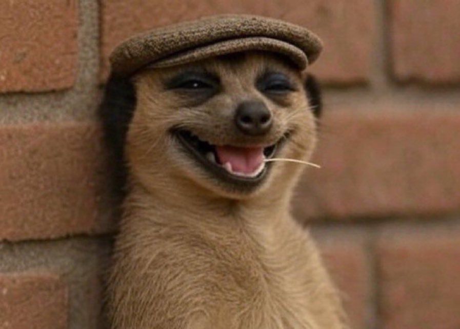 MCO.Balaam💉🧬 tweet media