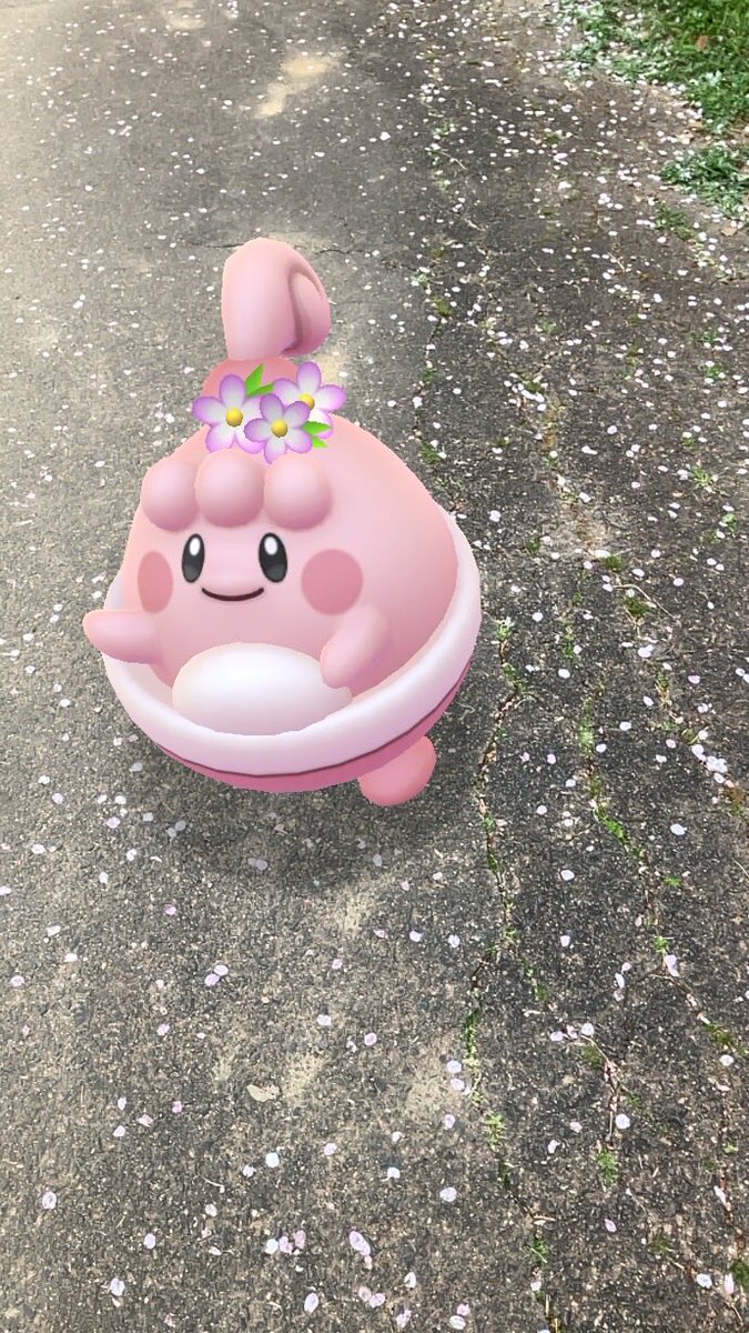 べこ(beko) tweet media