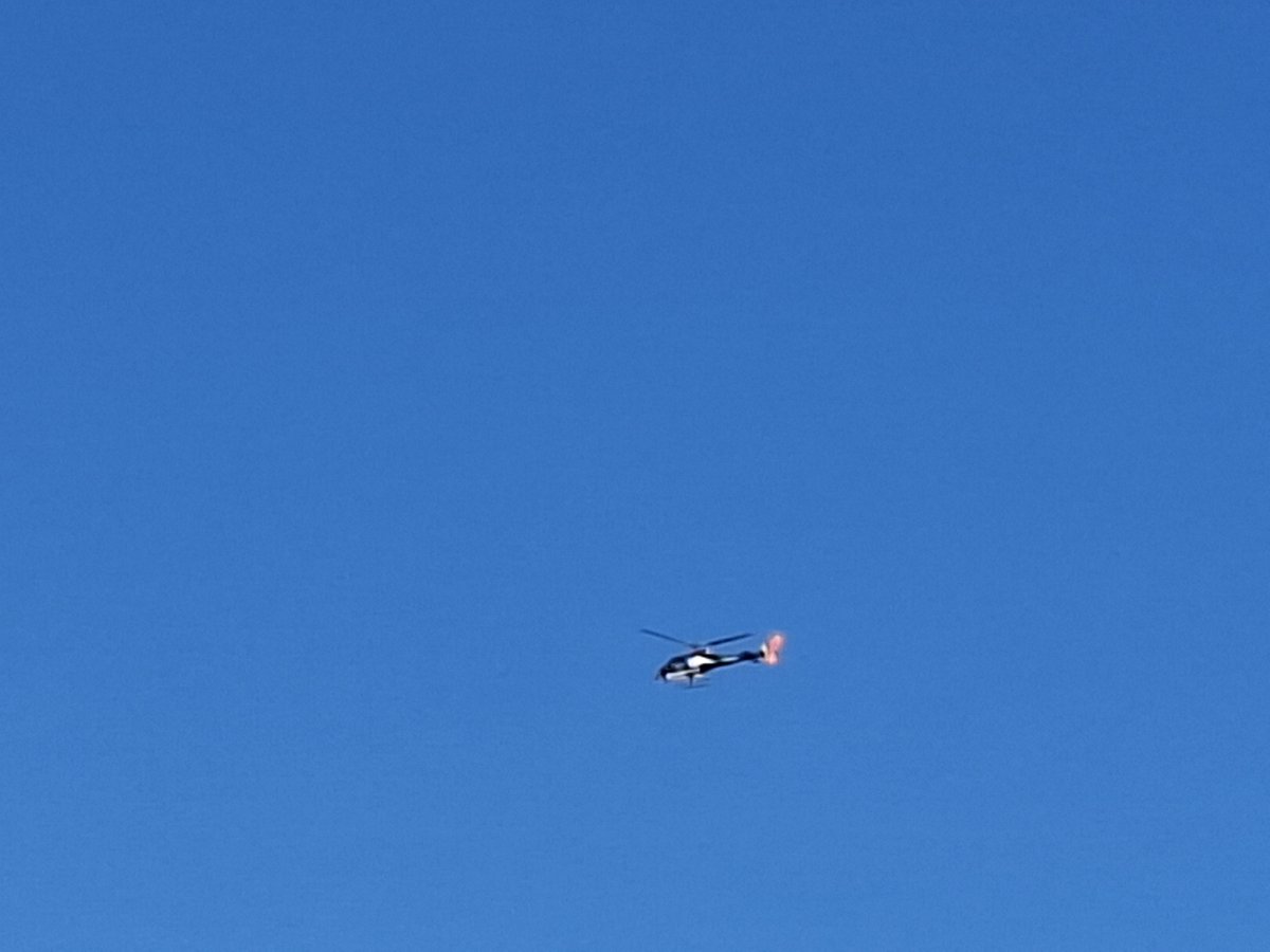 Victor Busquets tweet media