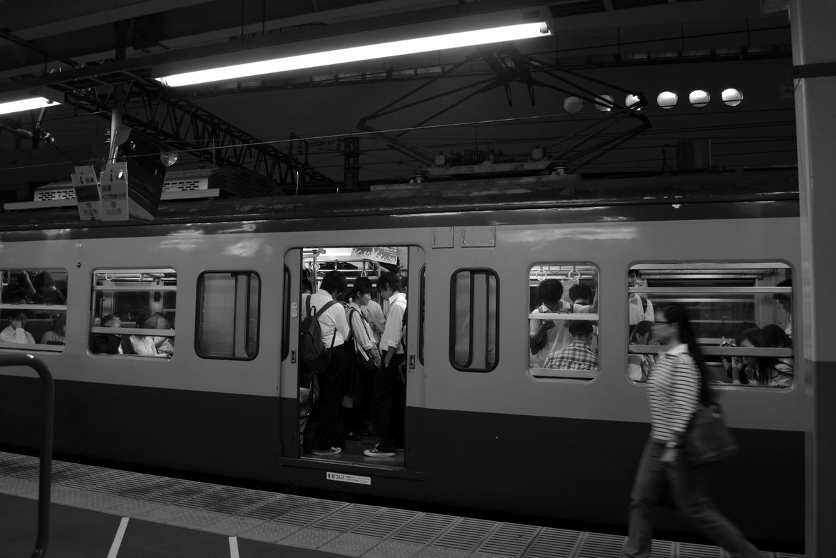 湘南あずき tweet media