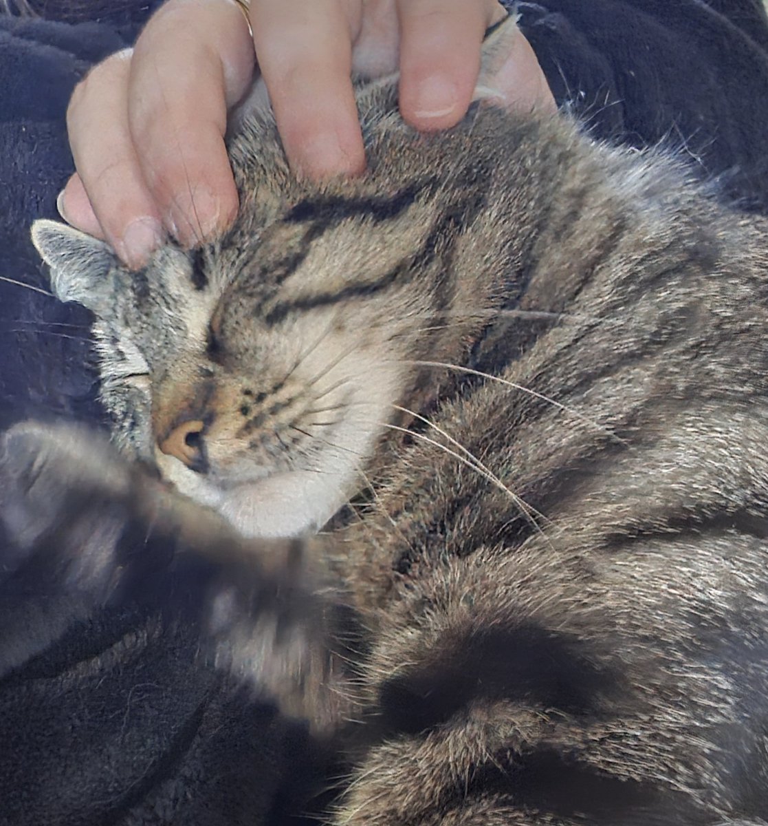 constance Moon tweet media