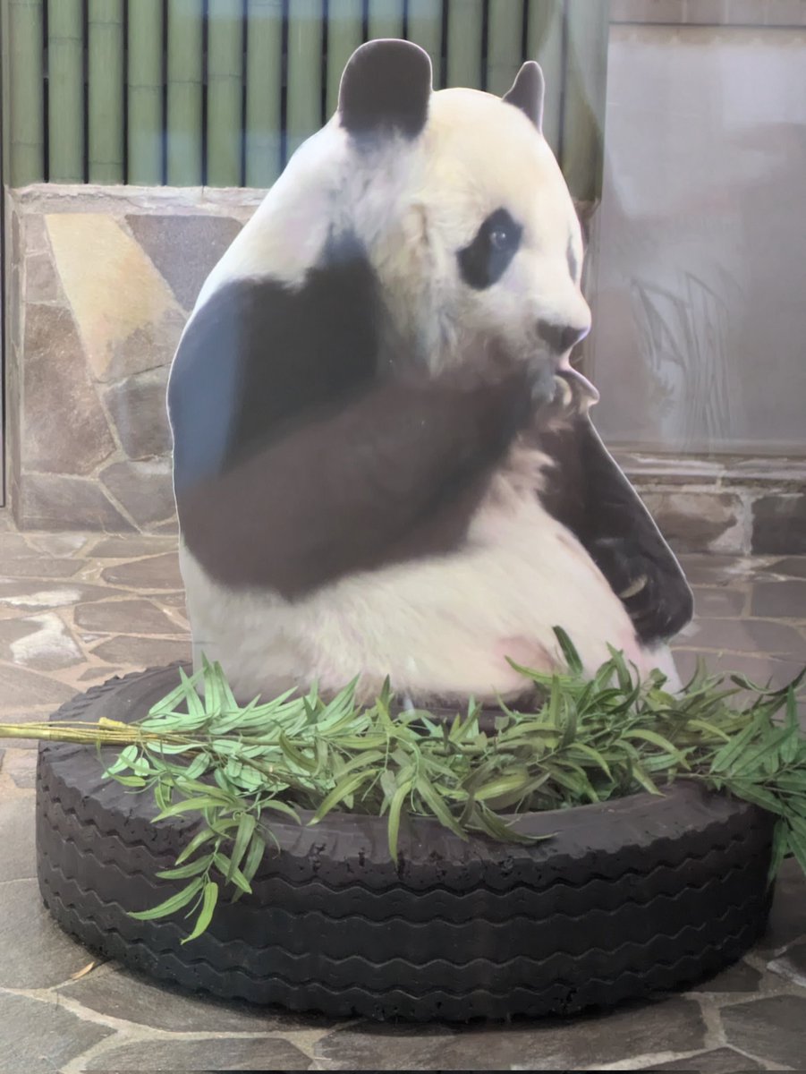 ばら*みるく* tweet media