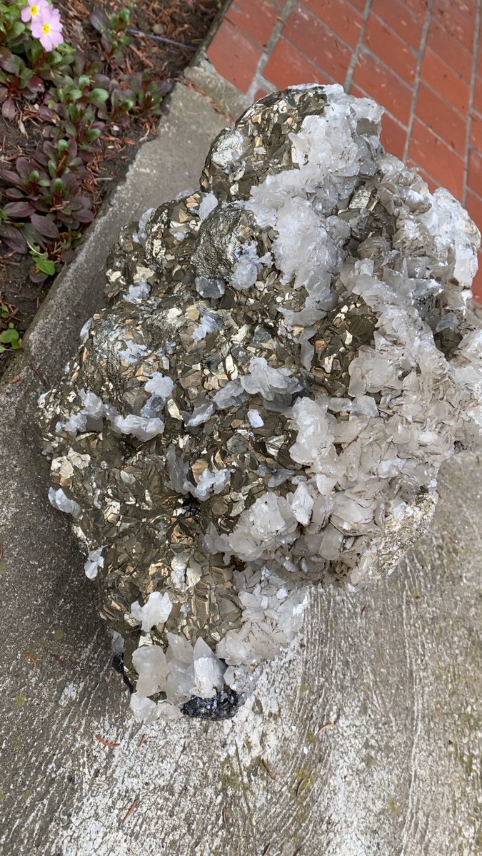 Phakimir tweet media