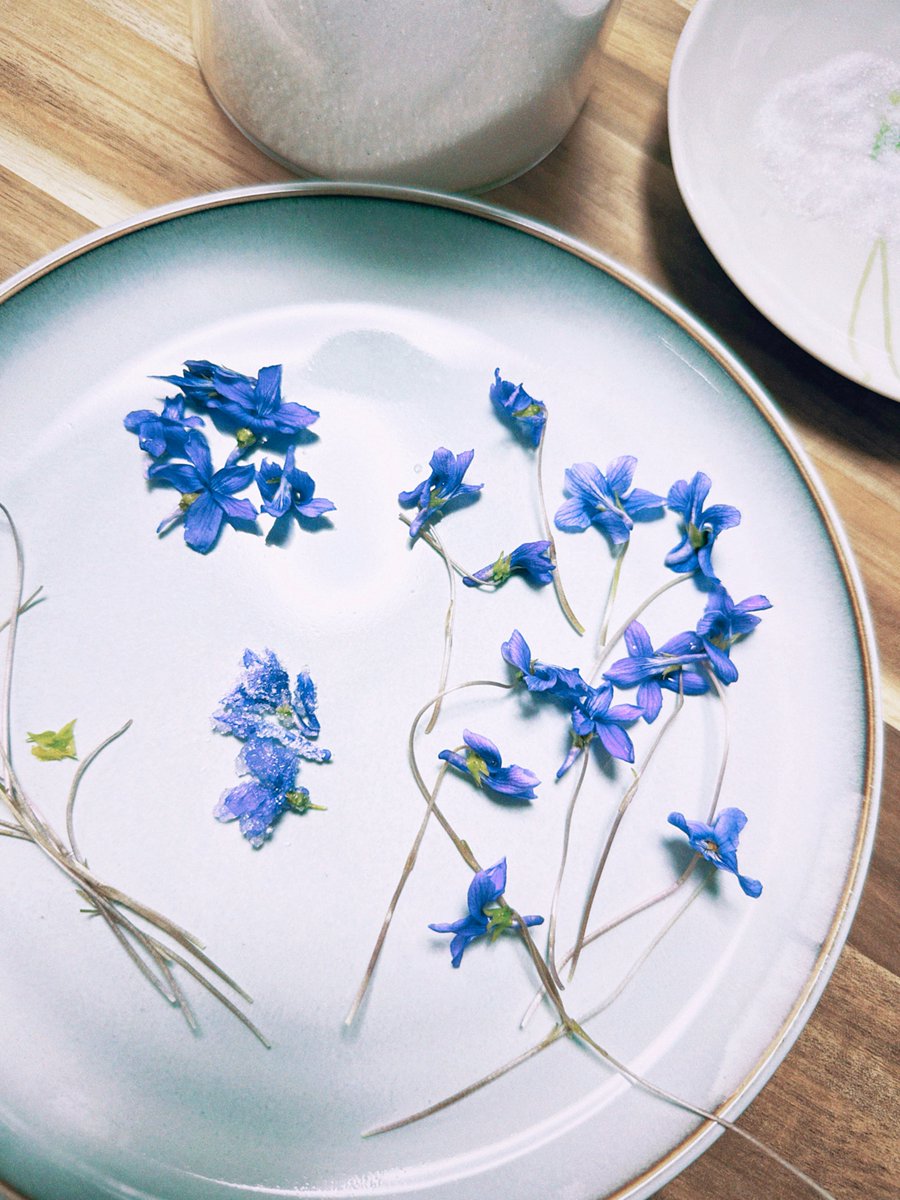 中禅寺 tweet media