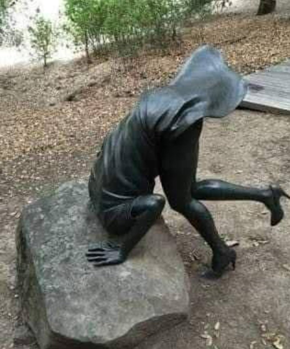 Muhammed Okudan tweet media