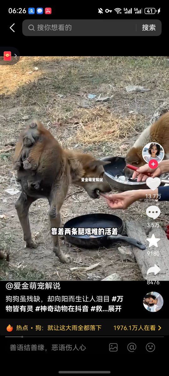 香香猪 tweet media