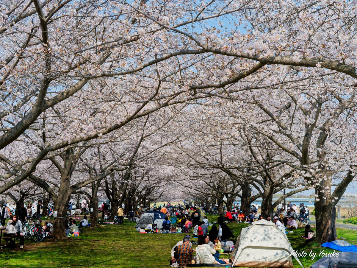 よすけ@ちゃりかめら tweet media