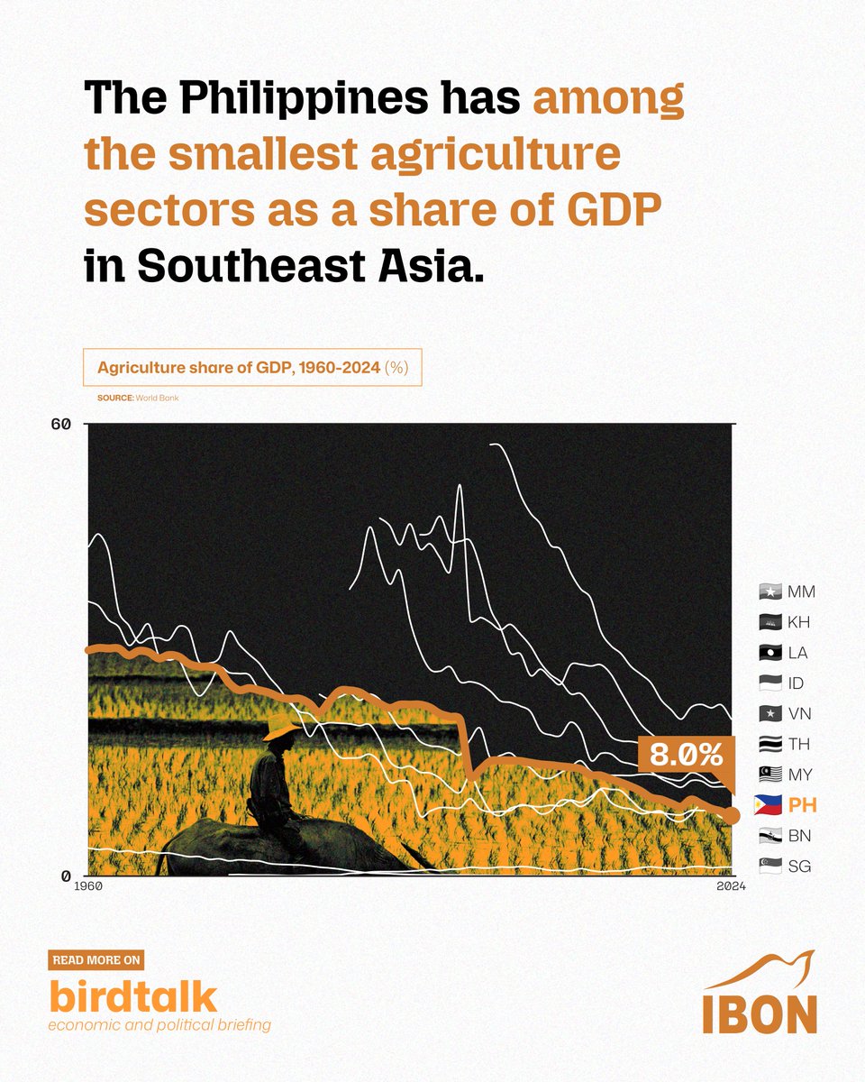 IBON Foundation tweet media