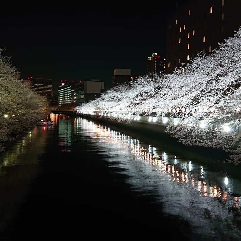 hachi622 tweet media