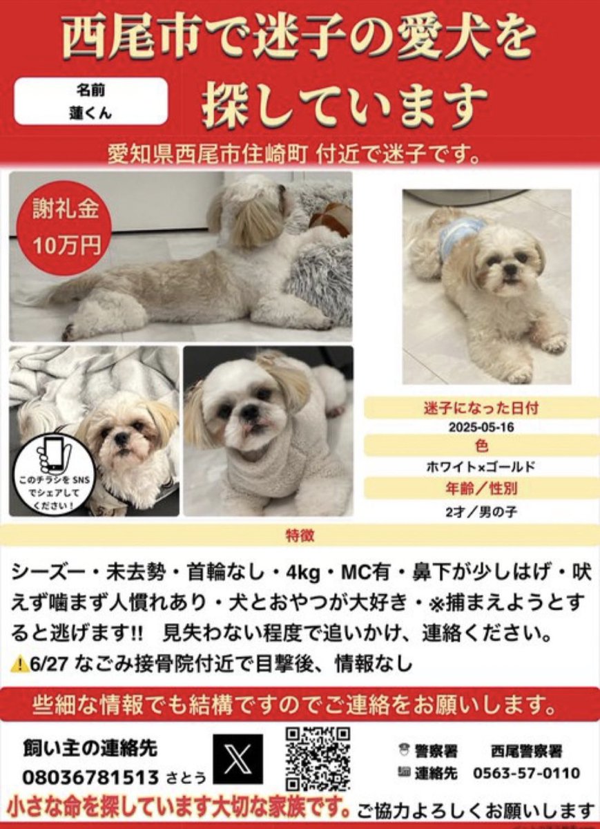 えびターボ86 tweet media