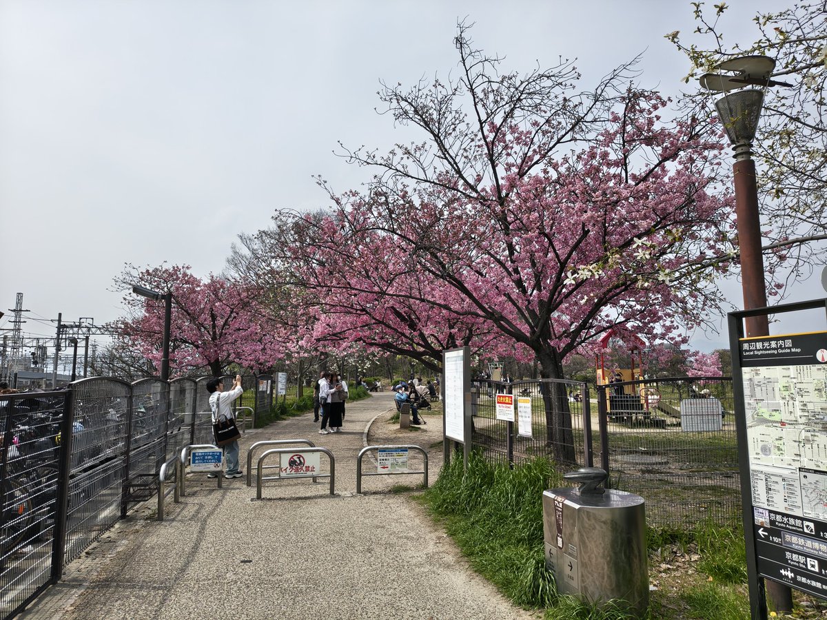 ちょろ tweet media