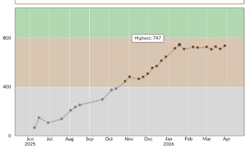 divyansh tweet media